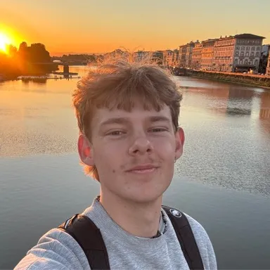 Merlin on a bridge over a river at sunset